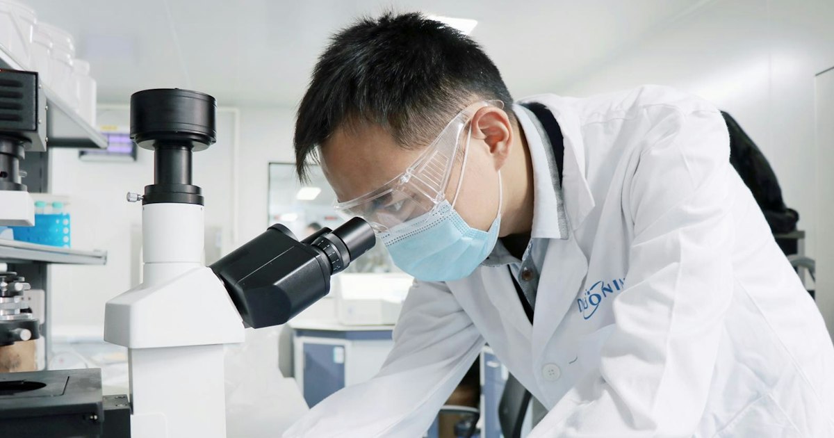 Ligandrol (LGD-4033) or Anabolic Steroids: A Comparison of Risks